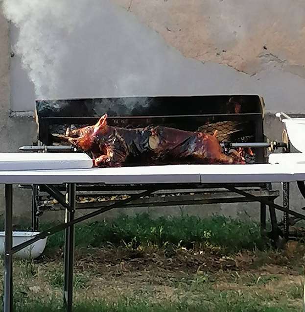 cochon broche