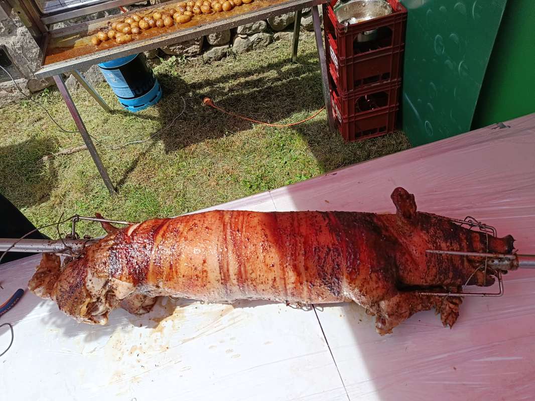 cochon broche precoupe
